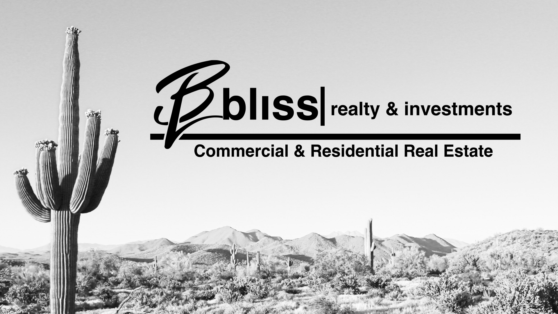 Bliss Realty & Investments Corporate